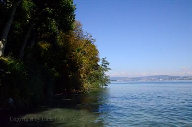 2020 09 03 Insel Mainau,_DSD_7037_b_488px